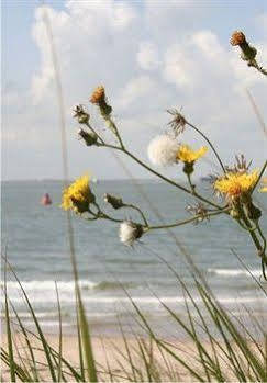 Playa Varese Mar del Plata